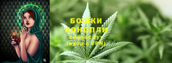 экстази Краснослободск