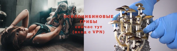 экстази Краснослободск