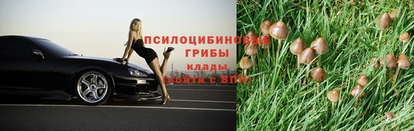экстази Краснослободск
