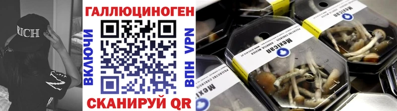 MEGA зеркало Чистополь Галлюциногенные грибы Psilocybe что такое